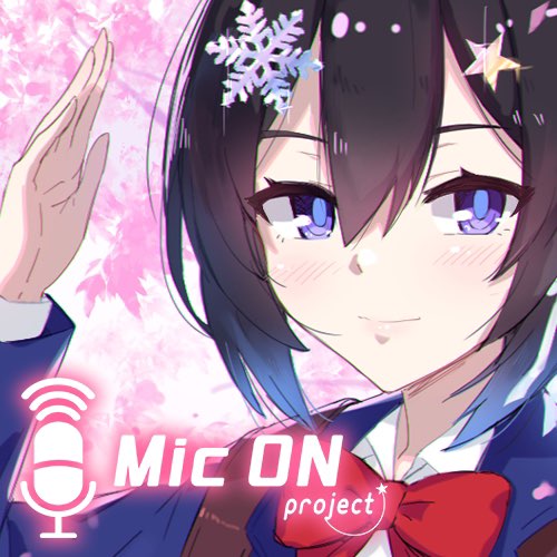  Mic On Project